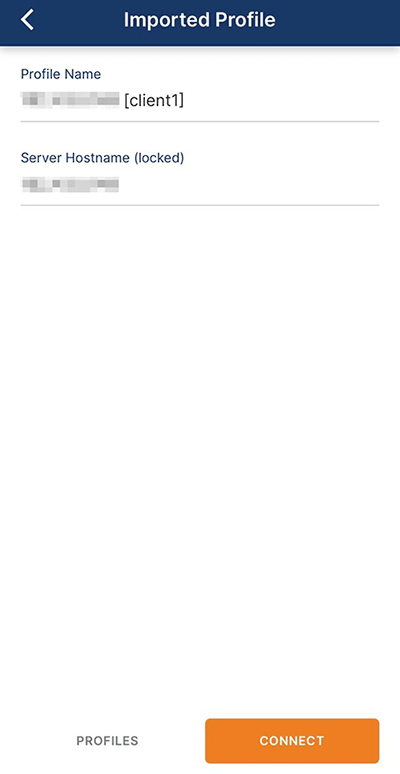 「Iｍport Profile」画面